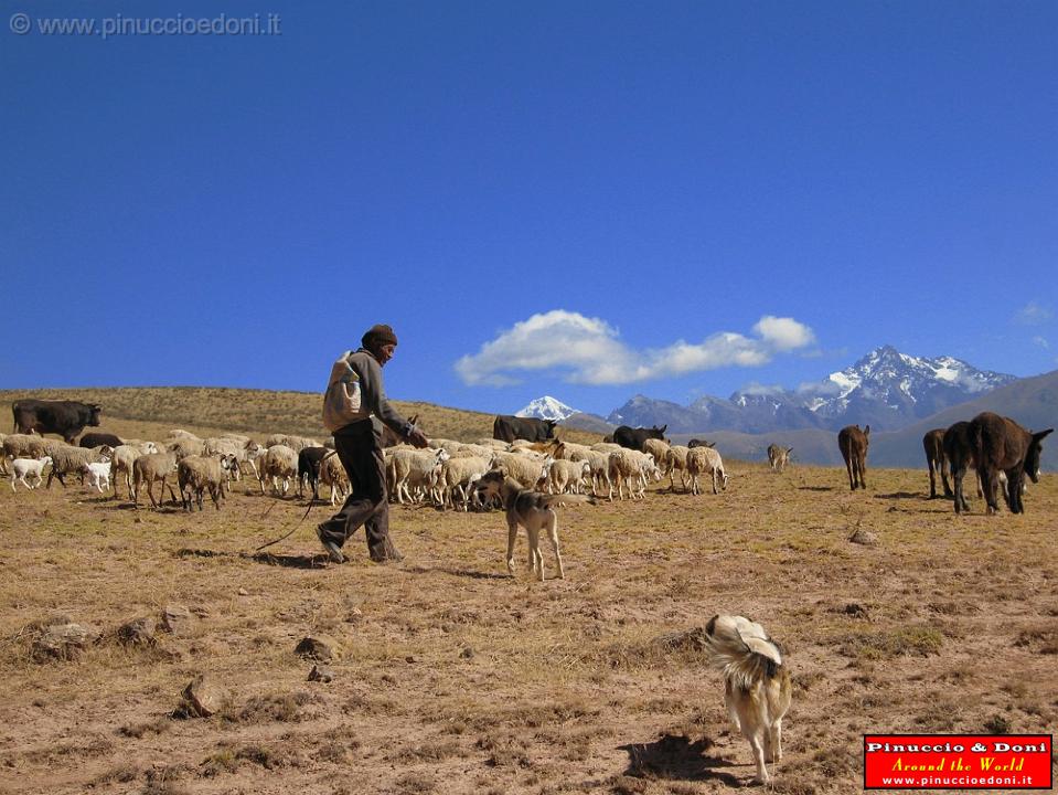 PERU - Da Ollantaytambo a Maras - 2.jpg